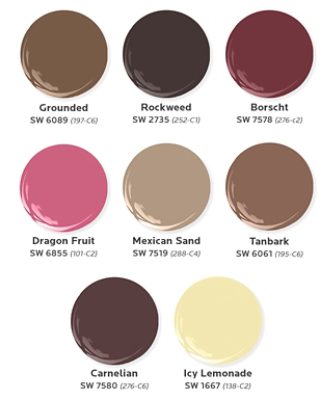 Eight paint dollop graphics featuring the Sherwin-Williams colors Grounded, Rockweed, Borscht, Dragon Fruit, Mexican Sand, Tanbark, Carnelian, and Icy Lemonade.