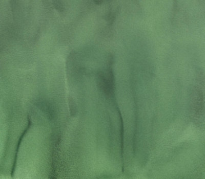 Grassland
