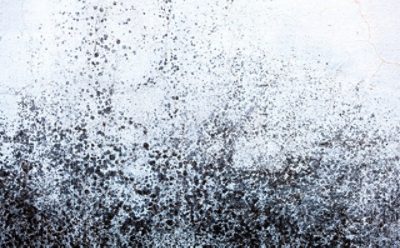 A ceiling with white and black mildew buildup. 