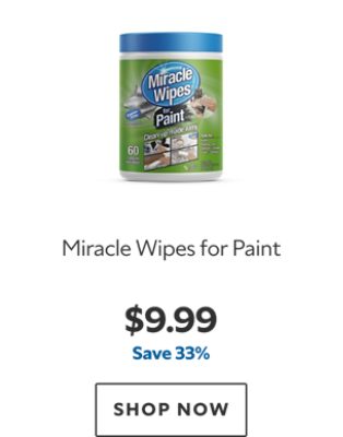 Miracle Wipes for Paint. $9.99. Save 33%. SHOP NOW.
