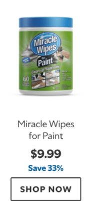 Miracle Wipes for Paint. $9.99. Save 33%. SHOP NOW.