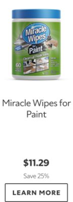 Miracle Wipes for Paint. $11.29. Save 25%. Learn more.