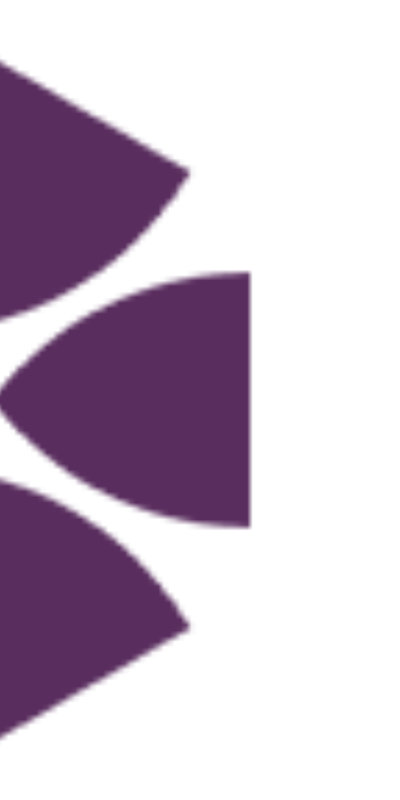 NBS Logo