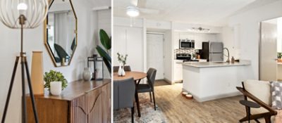 Apartment interior view showing a console table with octagonal mirror above, beside an open-plan kitchen and dining area with a white and stainless steel theme and walls painted in Sherwin-Williams Repose Gray.