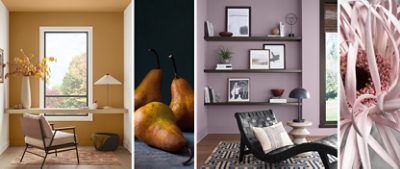 Shown on left, home workspace painted Bosc Pear with built-in desk in front of large window and modern upholstered chair in the foreground, accompanied by image of three bosc pears in front of a dark background. Shown on right, Mauve Finery-painted room with woven leather lounge chair in front of built-in shelves painted Clove, next to a close-up image of a mauve-colored flower.