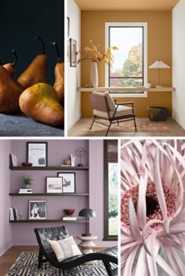 Shown on left, home workspace painted Bosc Pear with built-in desk in front of large window and modern upholstered chair in the foreground, accompanied by image of three bosc pears in front of a dark background. Shown on right, Mauve Finery-painted room with woven leather lounge chair in front of built-in shelves painted Clove, next to a close-up image of a mauve-colored flower.