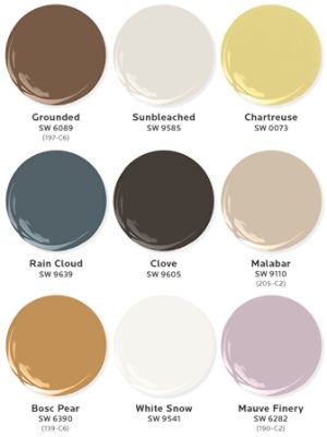 Nine paint dollop graphics depicting the colors of the Color Capsule of the Year coordinating palette: Grounded, Sunbleached, Chartreuse, Rain Cloud, Clove, Malabar, Bosc Pear, White Snow, and Mauve Finery.