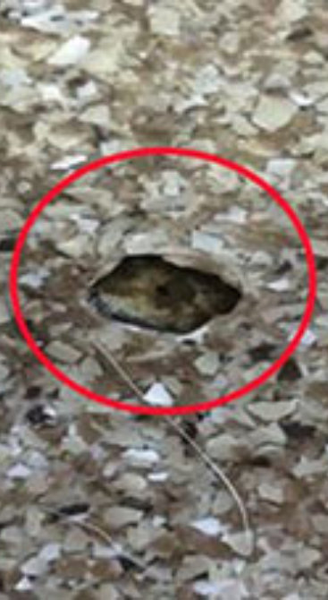 Outgassing bubble in resinous floor