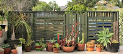 An exterior painted pallet wall with several succulents on the ground.