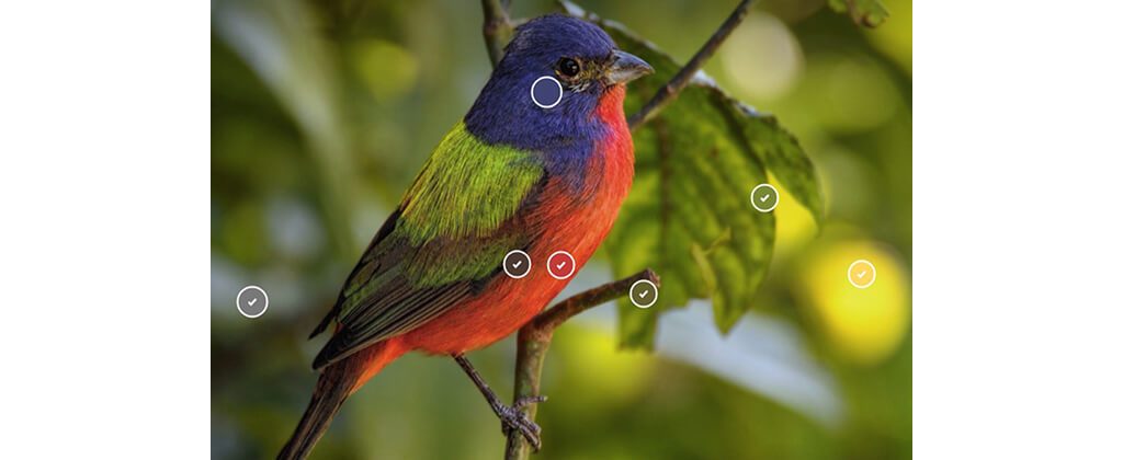 Visualizador De Colores De Pinturas De Pittsburgh Bruguer Visualizer