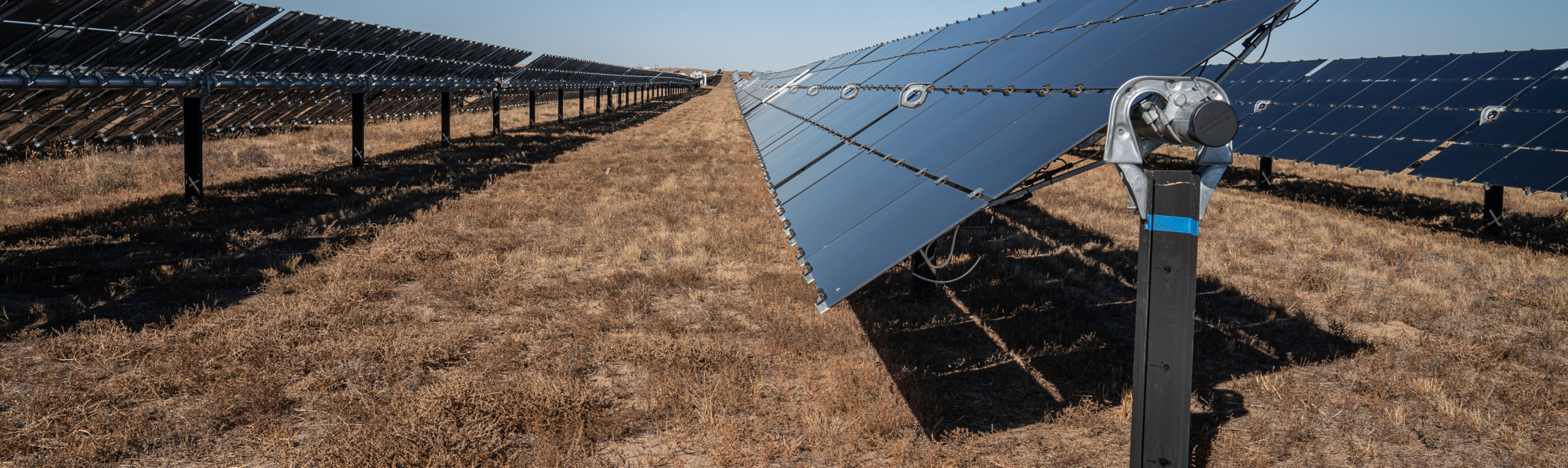 Steel piles at a solar farm