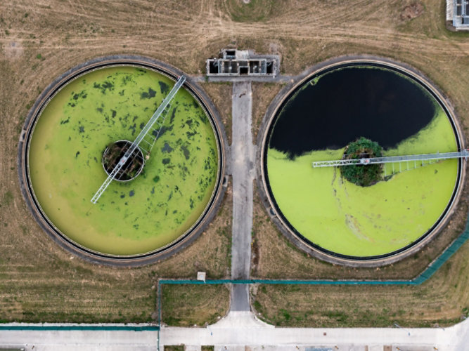 Wastewater treatment clarifiers with green algae on top of water