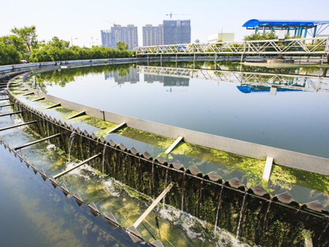algae growth at water treatment plant