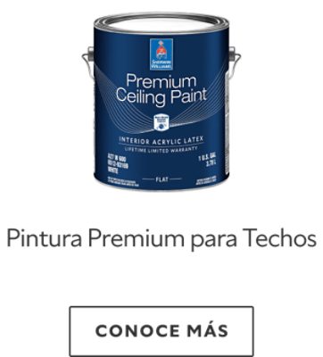 Pintura premium para techos.