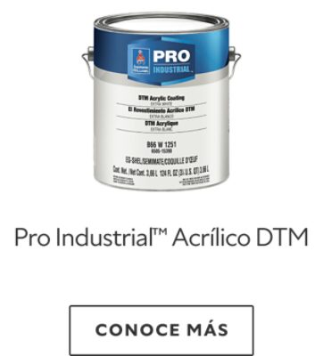 Pro Industrial™ Acrílico DTM.