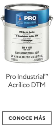 Pro Industrial™ Acrílico DTM.