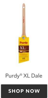 Purdy XL Dale. Shop now.