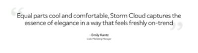 A quote by Emily Kantz, color marketing manager, "Equal parts cool and comfortable, Storm Cloud captures the essence of elegance in a way that feels freshly on-trend".