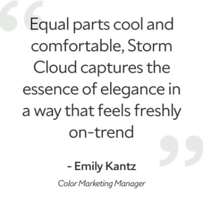 A quote by Emily Kantz, color marketing manager, "Equal parts cool and comfortable, Storm Cloud captures the essence of elegance in a way that feels freshly on-trend".