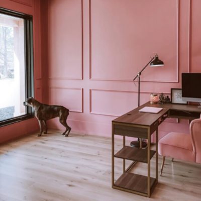 A light red home office with a dog looking out a large window by @maelutzz.