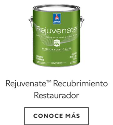 Rejuvenate Recubrimiento Restaurador