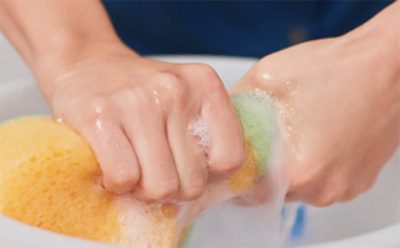 Person wringing out a soapy sponge.