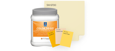 Sherwin-Williams samples: Color to Go, Peel and Stick and Color Chips.