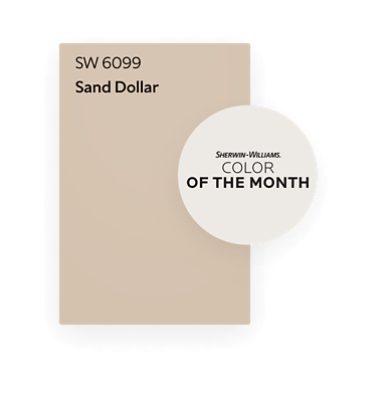 Color chip of Sand Dollar SW 6099, Color of the Month.