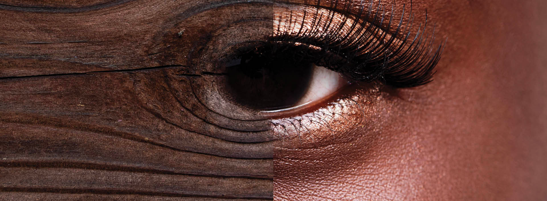 Sayerlack 70th anniversary graphic featuring half wood texture and half human eye with the tagline ‘For 70 years a vision has guided us