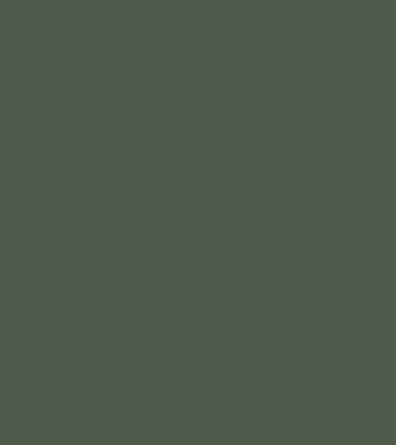 Terrae colour palette Forest Green