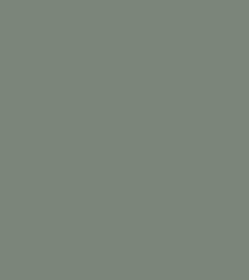 Terrae colour palette Forest Green
