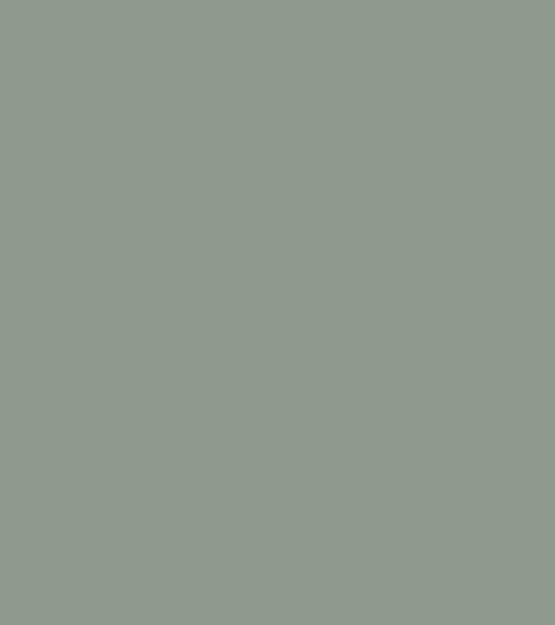 Terrae colour palette Forest Green