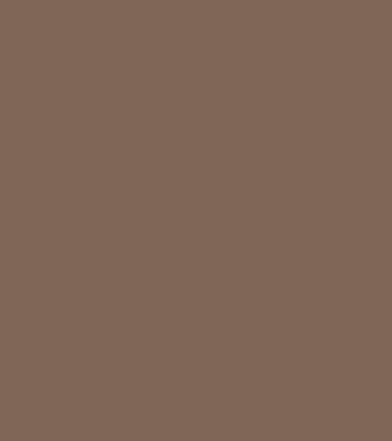 Terrae colour palette natural camel