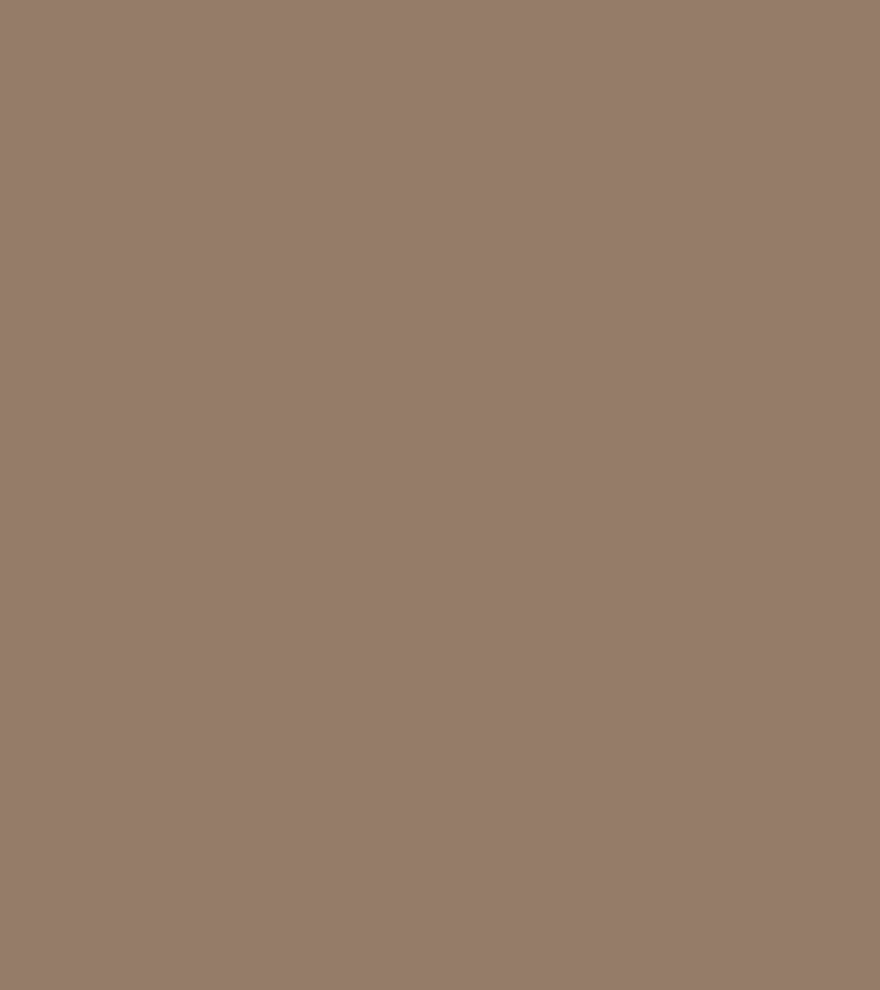 Terrae colour palette natural camel
