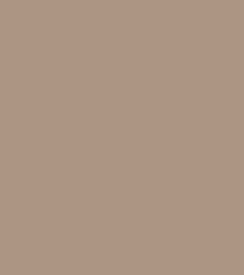 Terrae colour palette natural camel