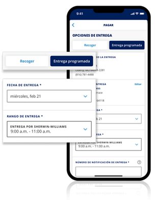 Teléfono que muestra la aplicación pro+ para entrega programada.