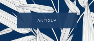 Seabrook Designs Wallpaper. Antigua Collection.