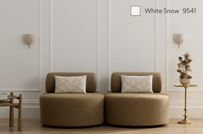 Two accent chairs against a bright wall.