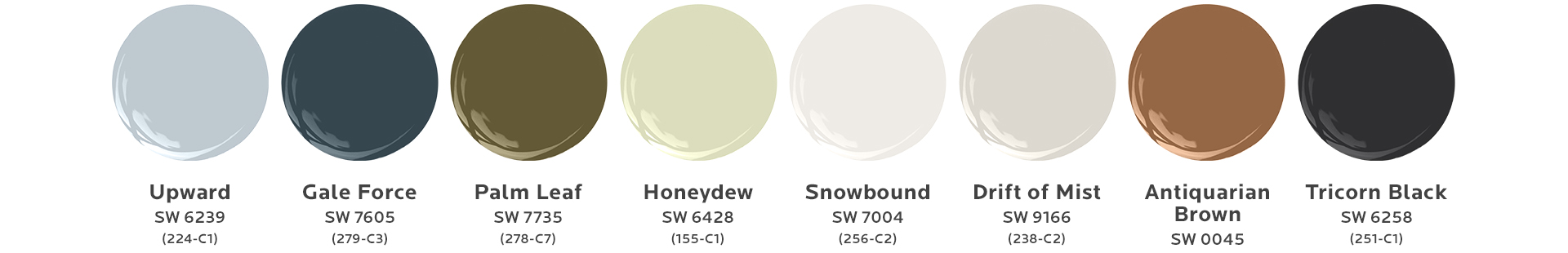 Graphic of eight paint dollops including Sherwin-Williams Color of the Year and its seven coordinating colors.