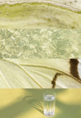 A collage of four panels showing striated green stone, the shimmering surface of water, a butterfly wing closeup, and a glass of water on a light green tabletop, all representative of Celery, the Sherwin-Williams Color of the Year.