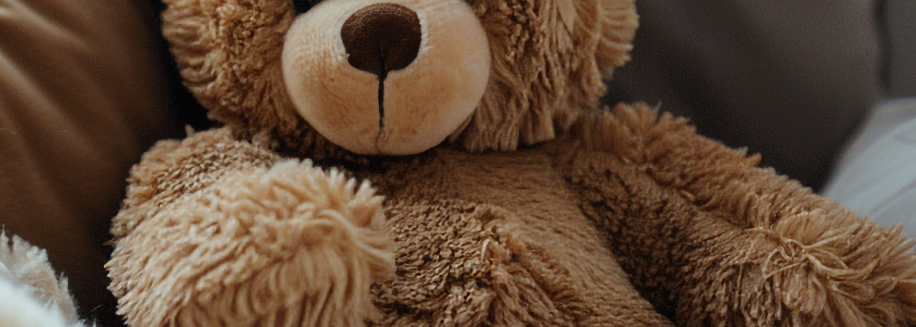 A cuddly teddy bear nestled on a cozy blanket and pillows.