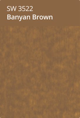 Sherwin Williams color chip banyan brown sw 3522.