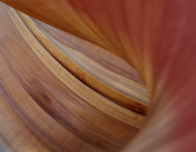wood abstract