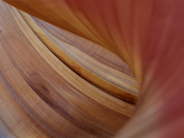 wood abstract