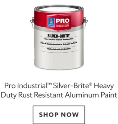 Pro Industrial™ Silver-Brite Heavy Duty Rust Resistant Aluminum Paint. Shop now.