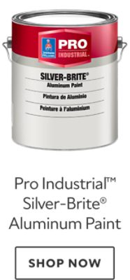 Pro Industrial™ Silver-Brite Aluminum Paint. Shop now.