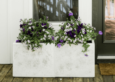 A stained concrete planter with purple and white flowers.