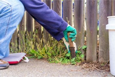 A person cleaning up weeds around the bottom of a wood fence.