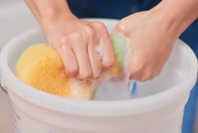 A person wringing out a sponge in soapy water.