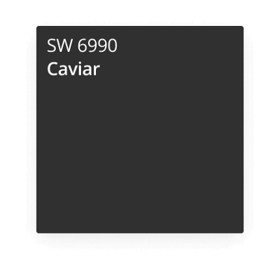 Caviar paint color card